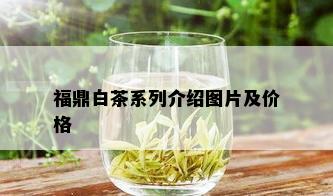 福鼎白茶系列介绍图片及价格