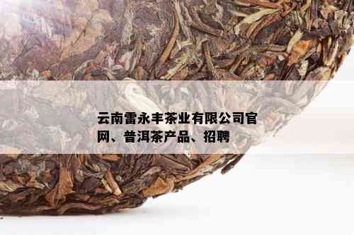 云南雷永丰茶业有限公司官网、普洱茶产品、招聘