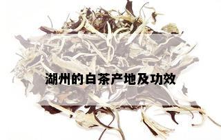 湖州的白茶产地及功效