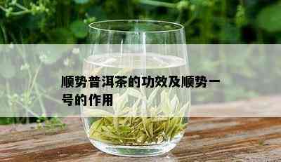 顺势普洱茶的功效及顺势一号的作用