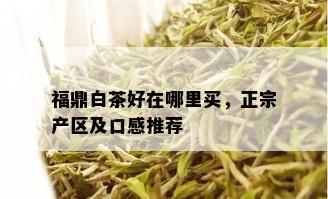 福鼎白茶好在哪里买，正宗产区及口感推荐