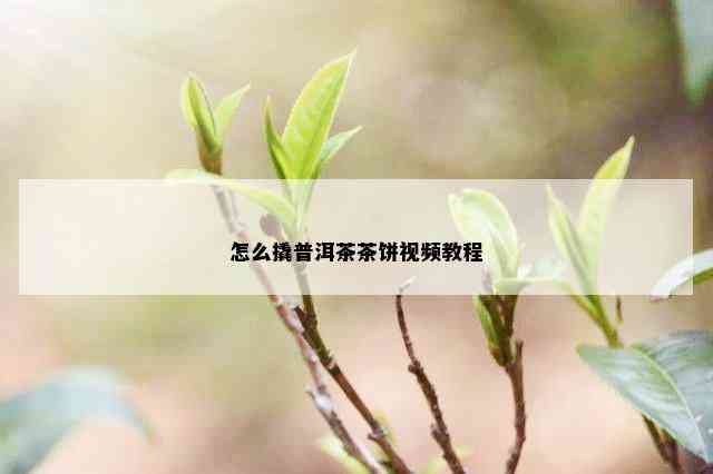 怎么撬普洱茶茶饼视频教程