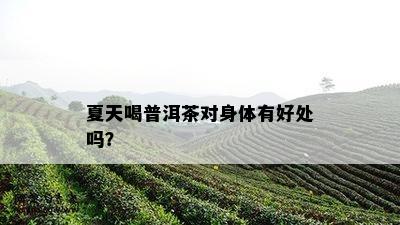 夏天喝普洱茶对身体有好处吗？