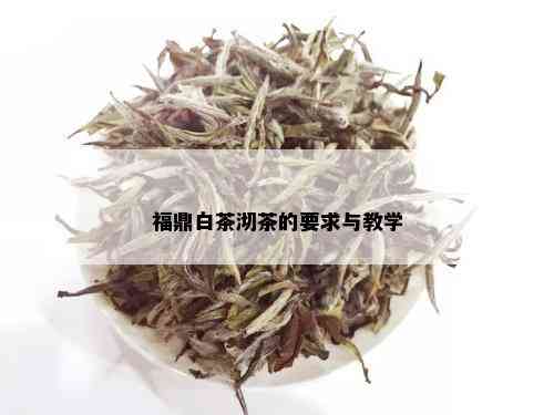 福鼎白茶沏茶的要求与教学