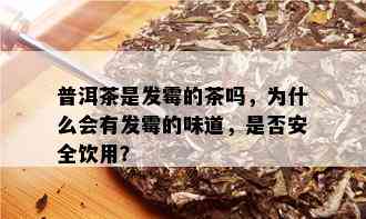 普洱茶是发霉的茶吗，为什么会有发霉的味道，是否安全饮用？