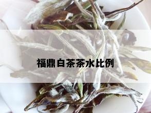 福鼎白茶茶水比例