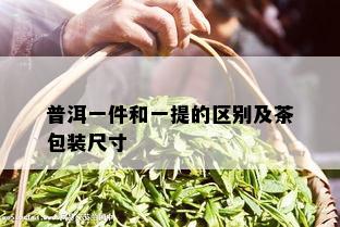 普洱一件和一提的区别及茶包装尺寸