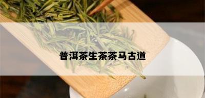 普洱茶生茶茶马古道