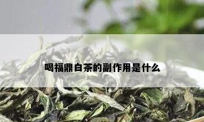 喝福鼎白茶的副作用是什么