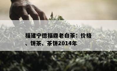 福建宁德福鼎老白茶：价格、饼茶、茶饼2014年