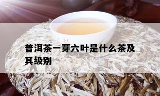 普洱茶一芽六叶是什么茶及其级别