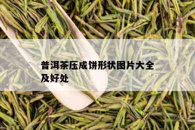 普洱茶压成饼形状图片大全及好处