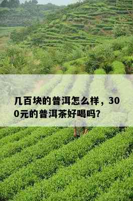 几百块的普洱怎么样，300元的普洱茶好喝吗？