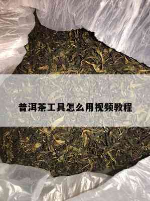 普洱茶工具怎么用视频教程