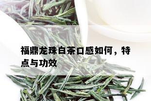 福鼎龙珠白茶口感如何，特点与功效