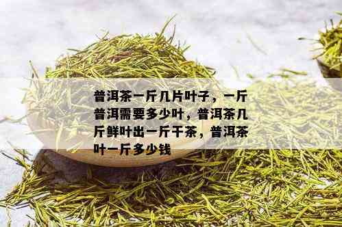 普洱茶一斤几片叶子，一斤普洱需要多少叶，普洱茶几斤鲜叶出一斤干茶，普洱茶叶一斤多少钱