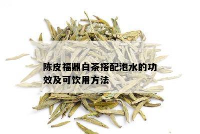 陈皮福鼎白茶搭配泡水的功效及可饮用方法