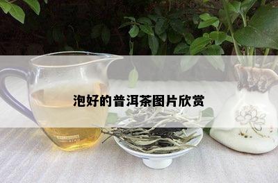 泡好的普洱茶图片欣赏