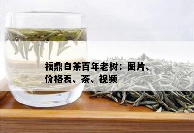 福鼎白茶百年老树：图片、价格表、茶、视频