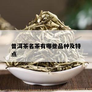 普洱茶名茶有哪些品种及特点