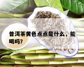 普洱茶黄色点点是什么，能喝吗？