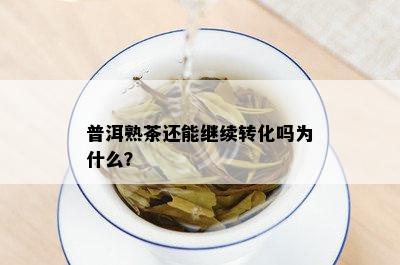 普洱熟茶还能继续转化吗为什么？