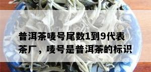 普洱茶唛号尾数1到9代表茶厂，唛号是普洱茶的标识