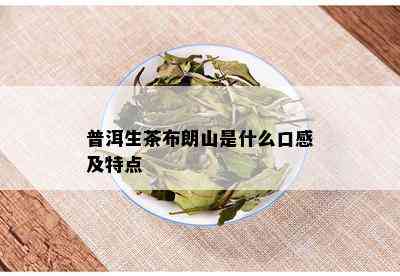 普洱生茶布朗山是什么口感及特点