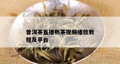 普洱茶直播熟茶视频播放教程及平台