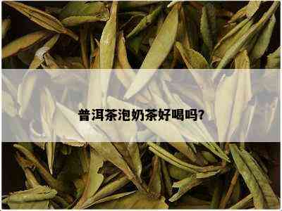 普洱茶泡奶茶好喝吗？