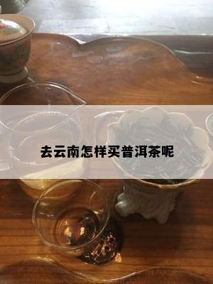 去云南怎样买普洱茶呢