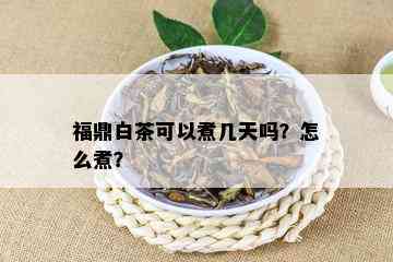 福鼎白茶可以煮几天吗？怎么煮？