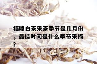 福鼎白茶采茶季节是几月份，更佳时间是什么季节采摘？