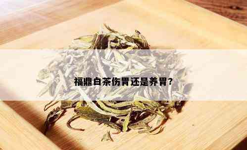 福鼎白茶伤胃还是养胃?