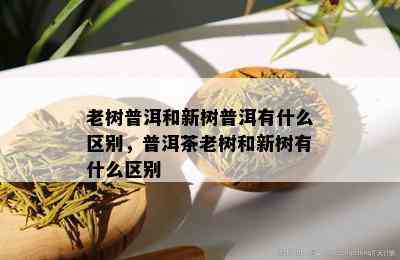 老树普洱和新树普洱有什么区别，普洱茶老树和新树有什么区别