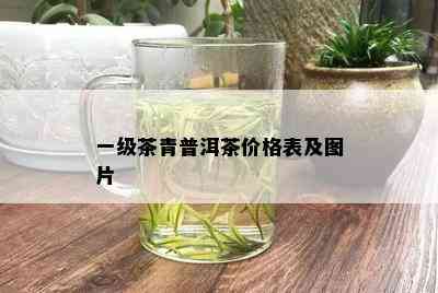 一级茶青普洱茶价格表及图片