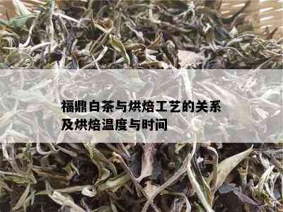 福鼎白茶与烘焙工艺的关系及烘焙温度与时间