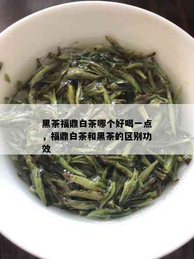 黑茶福鼎白茶哪个好喝一点，福鼎白茶和黑茶的区别功效