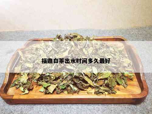 福鼎白茶出水时间多久更好