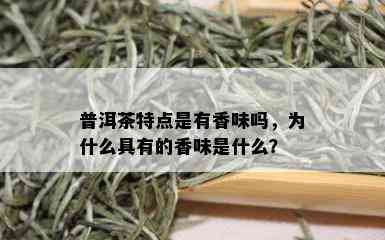 普洱茶特点是有香味吗，为什么具有的香味是什么？