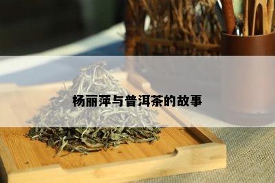 杨丽萍与普洱茶的故事