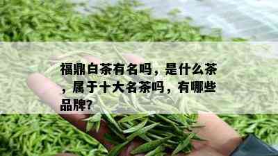 福鼎白茶有名吗，是什么茶，属于十大名茶吗，有哪些品牌？