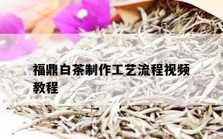 福鼎白茶制作工艺流程视频教程