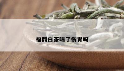 福鼎白茶喝了伤胃吗