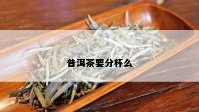 普洱茶要分杯么