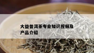 大益普洱茶专业知识视频及产品介绍