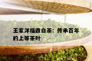 王家洋福鼎白茶：传承百年的上等茶叶