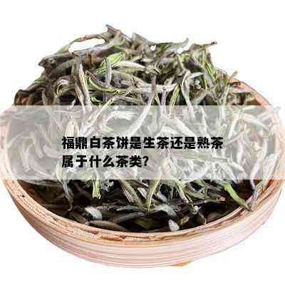 福鼎白茶饼是生茶还是熟茶属于什么茶类？