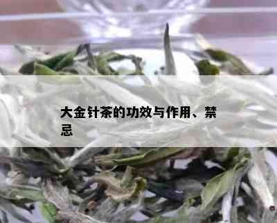 大金针茶的功效与作用、禁忌