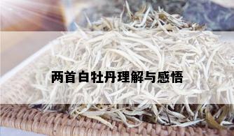 两首白牡丹理解与感悟